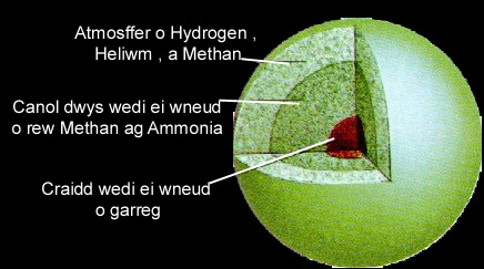 Wranws — Nodweddion Eraill